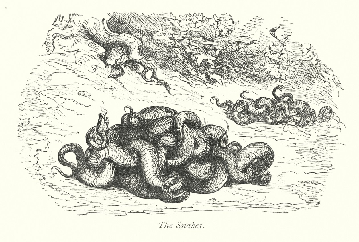 Slangerne (kobberstik) af Gustave Dore