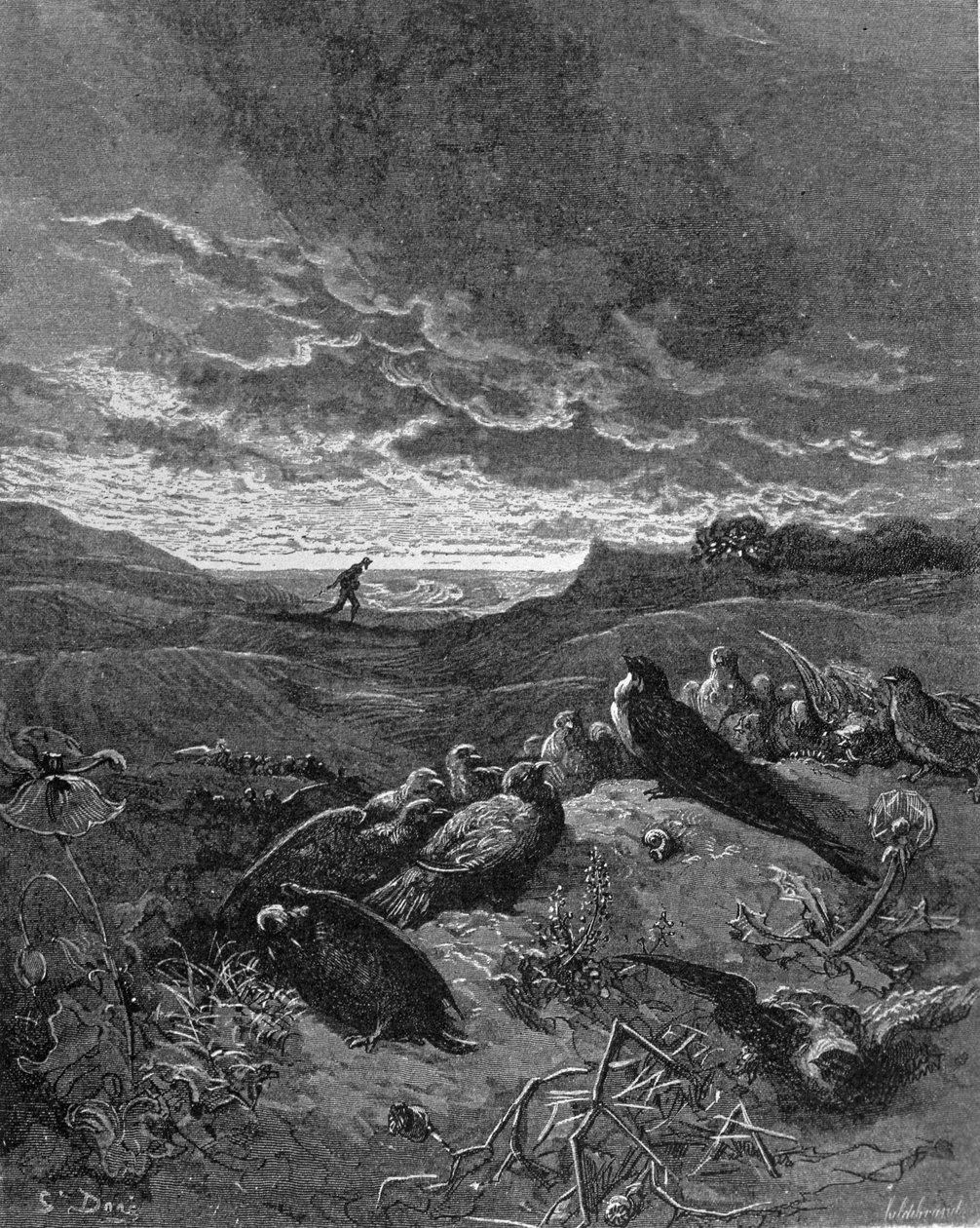 Svalen og fuglene, illustration fra 