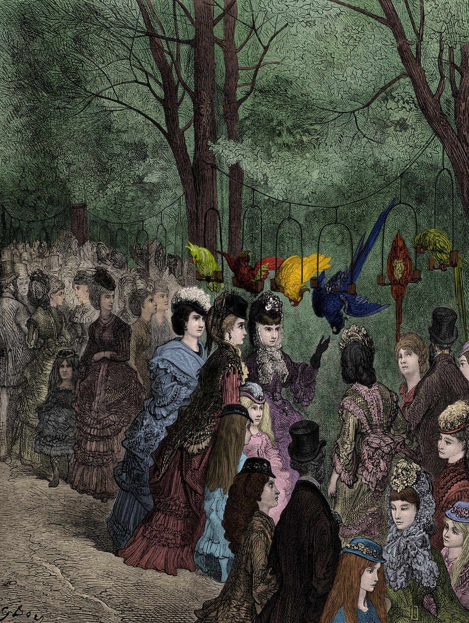 Papegøjevandringen i en victoriansk zoologisk have i London af Doré af Gustave Dore