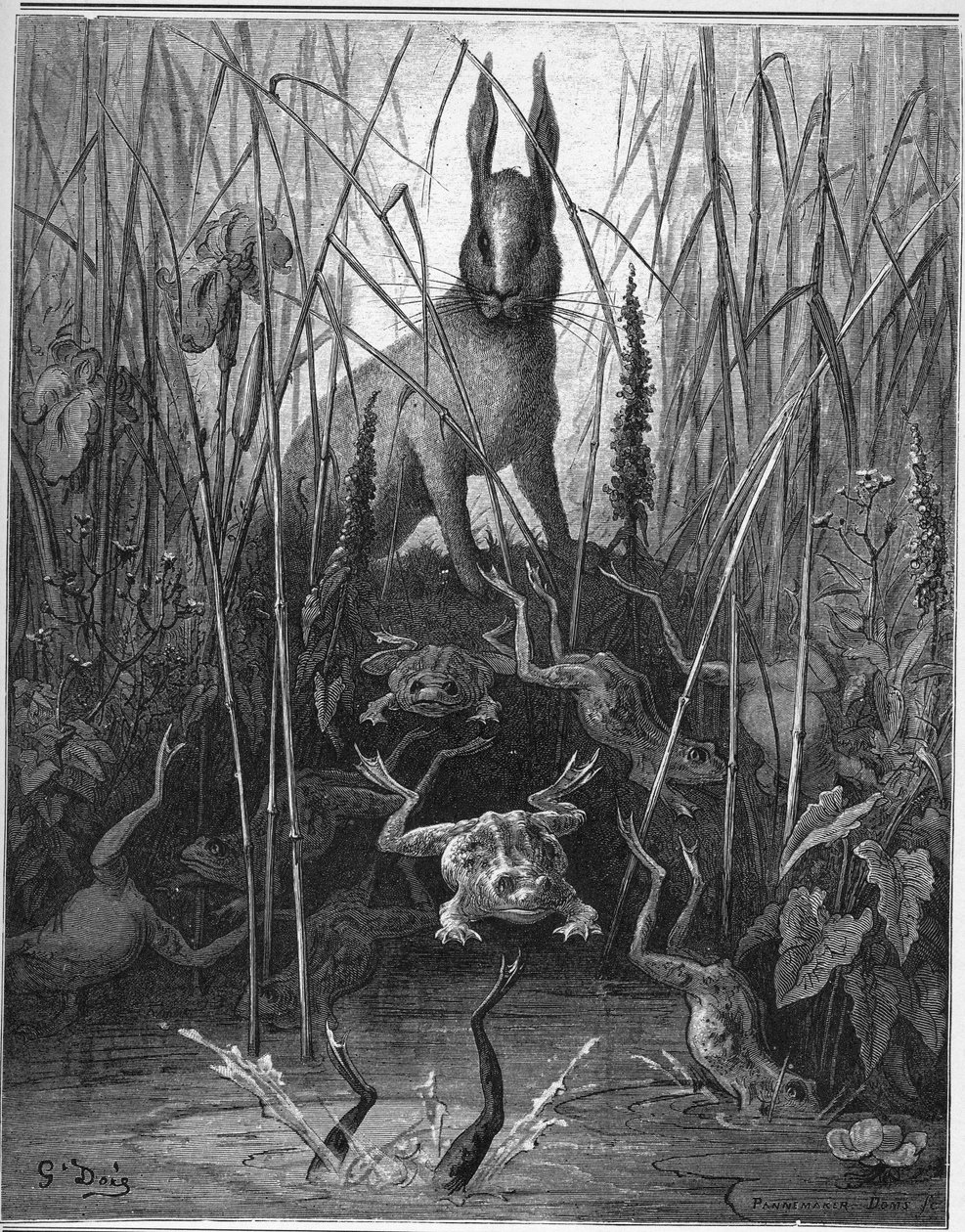 haren og frøen - Harerne og frøerne - fra "Fables" af Jean de La Fontaine af Gustave Dore