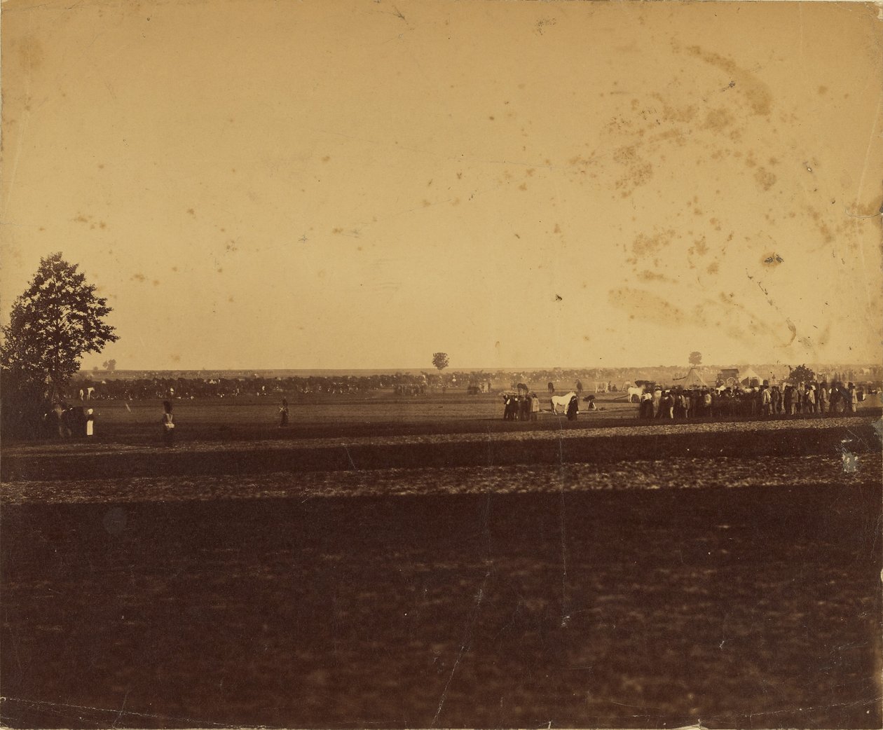 [Camp de Chalons] af Gustave Le Gray