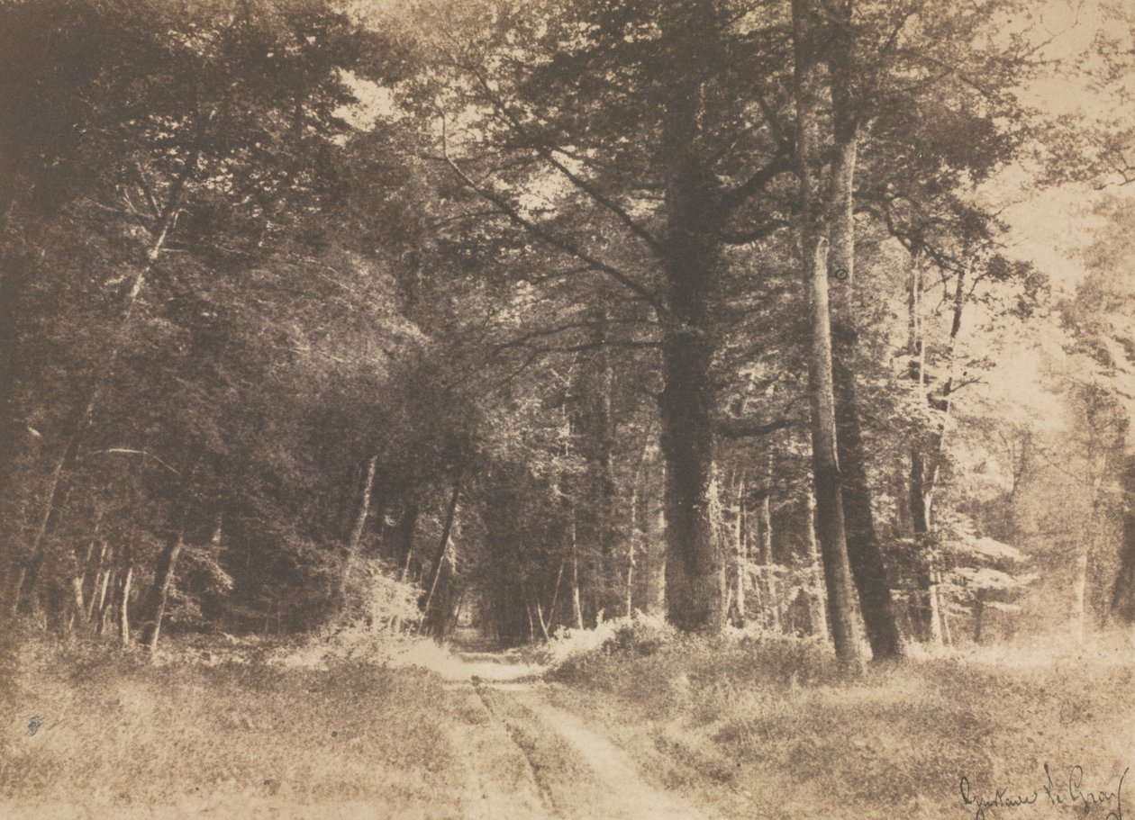 Sti i skoven Fontainebleau af Gustave Le Gray