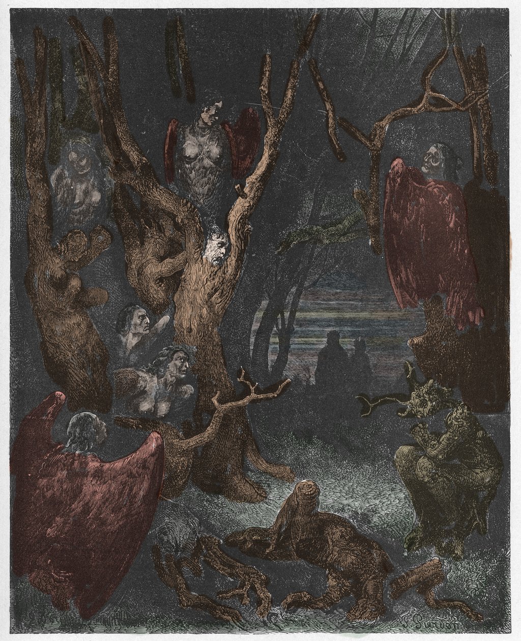 Inferno, Canto 13: Harpierne i selvmordsskoven, illustration fra Den guddommelige komedie af Dante Alighieri, 1885 (digitalt farvet gravering) af Gustave after Dore