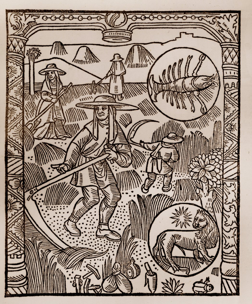 Hyrdekalender - Månedernes arbejde - Juli - Træsnit fra bogen fra 1496 trykt af Guy Marchant (Guido Mercator) i Troyes - Hay, la coupe des hay - Gravering sur bois i "" Le grand Calendrier et compost des shepherds"" - af Guy Marchant