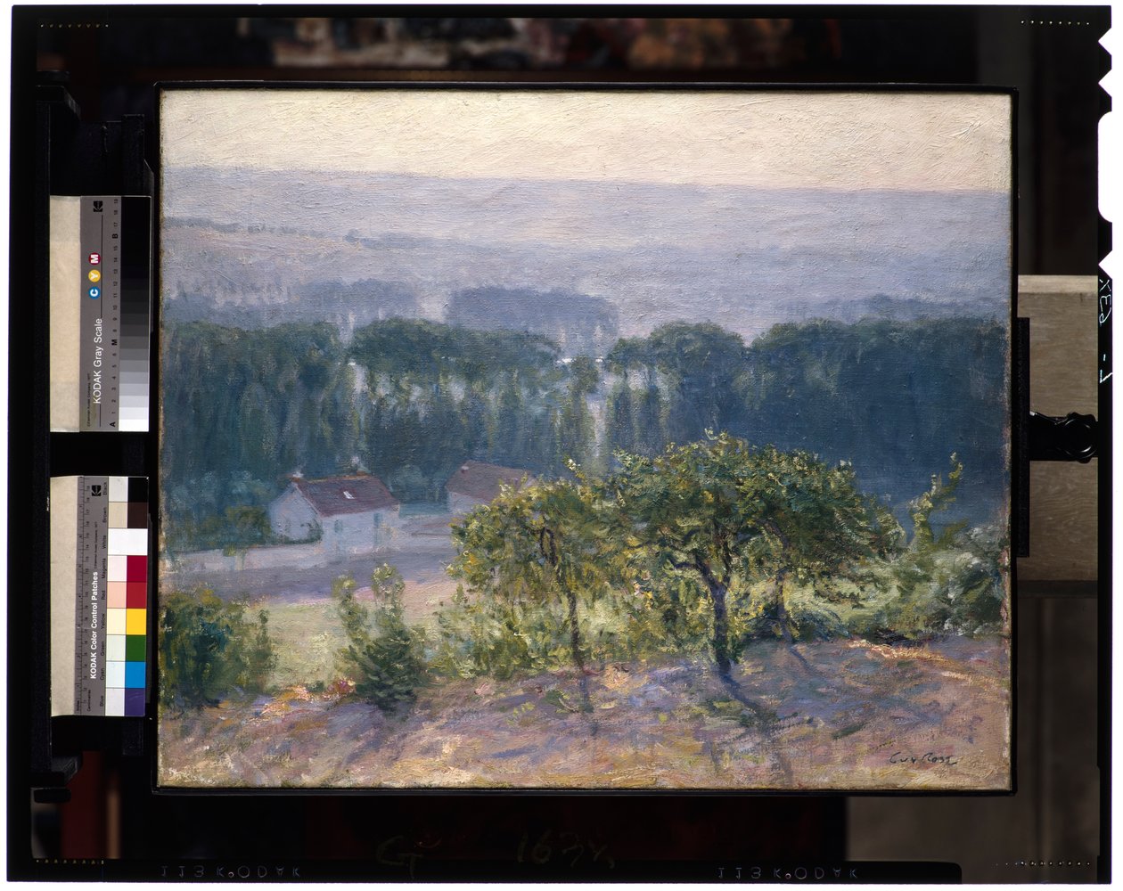 Sen eftermiddag, Giverny, ca. 1905-13 (olie på lærred) af Guy Rose