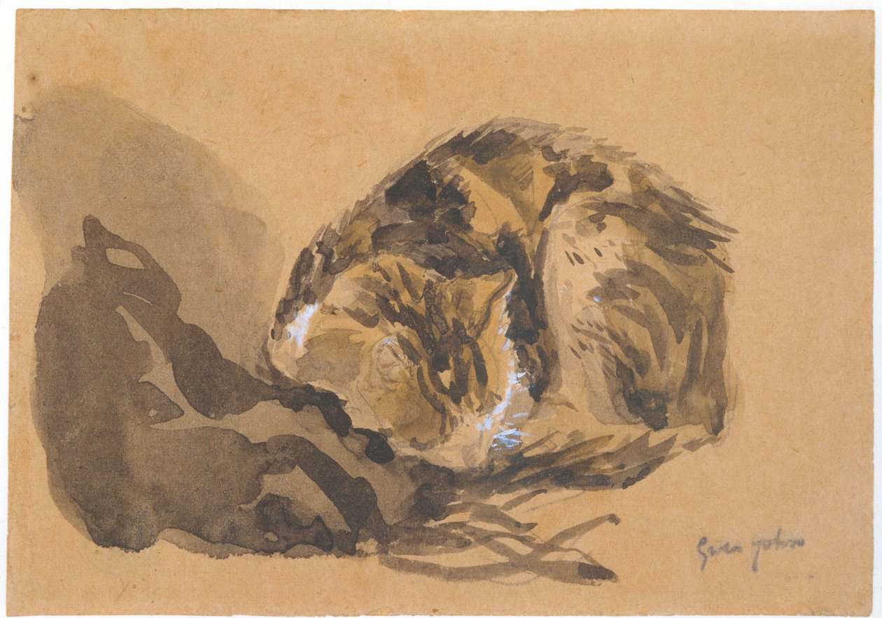 Studie af en kat, 1905-08 af Gwen John