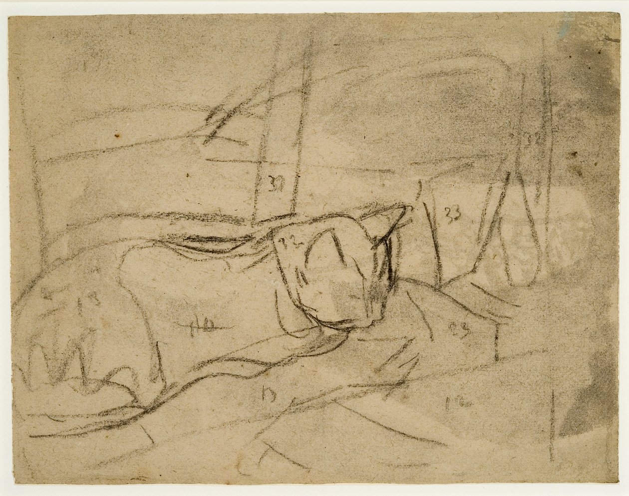 Studier af katte (kul på papir) af Gwen John