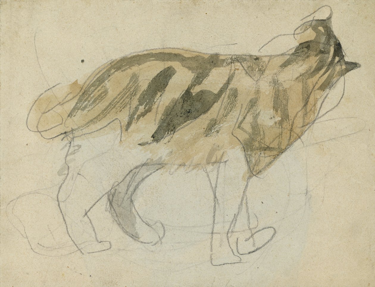 Kattestudier (blyant med akvarel på papir) af Gwen John