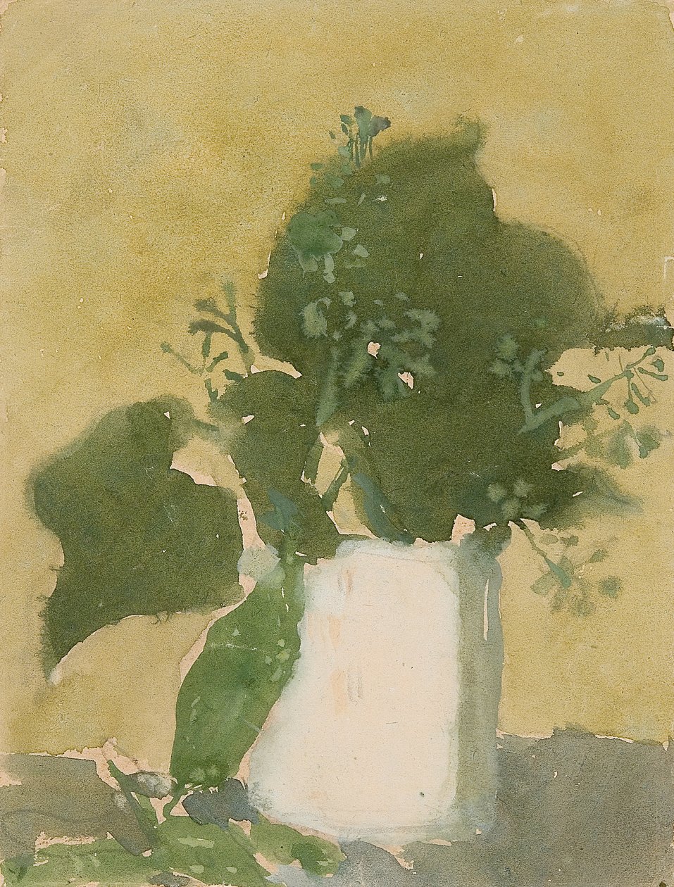 Grønne blade i en hvid kande (akvarel, gouache og blyant på papir) af Gwen John