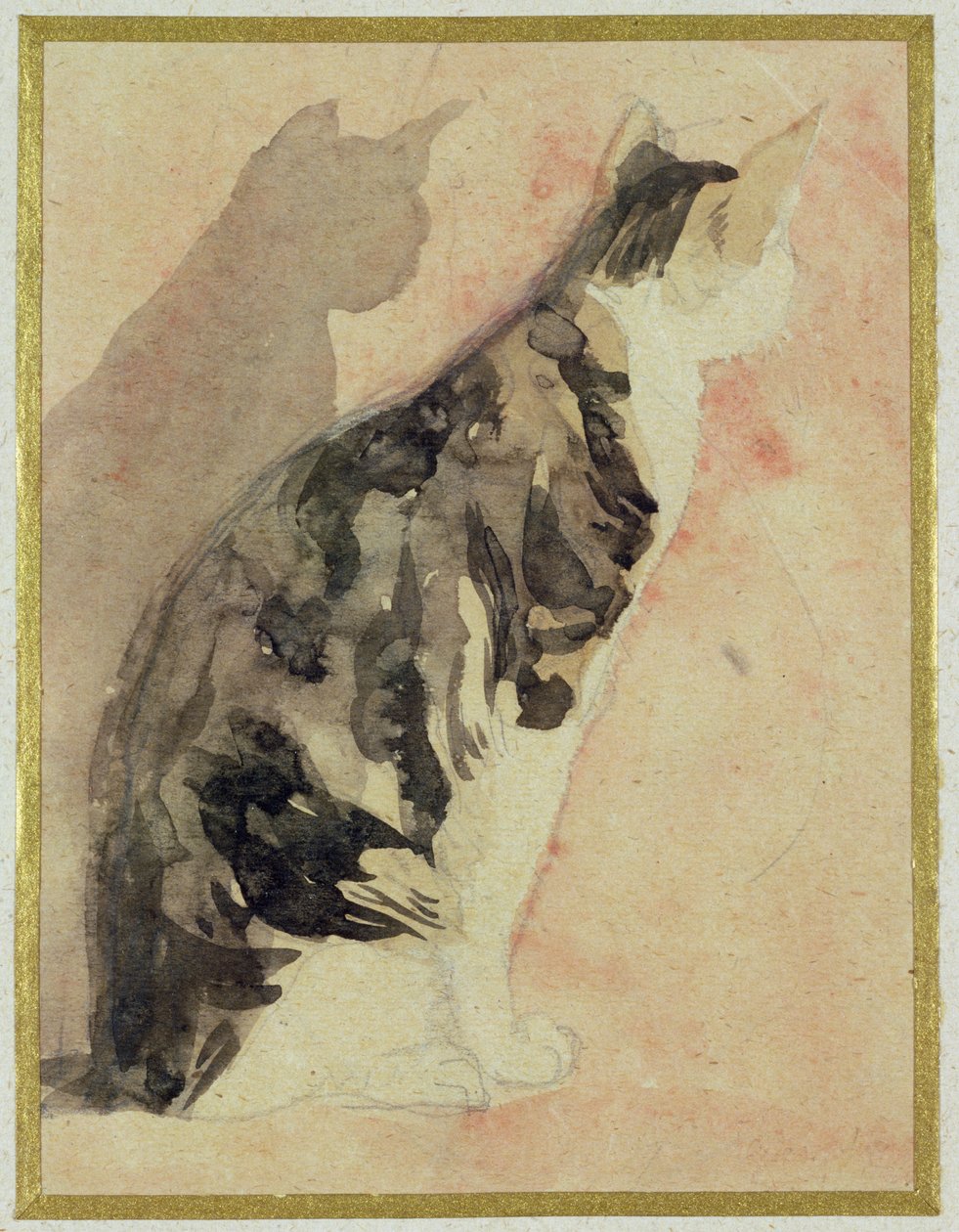 Studie af en kat af Gwen John