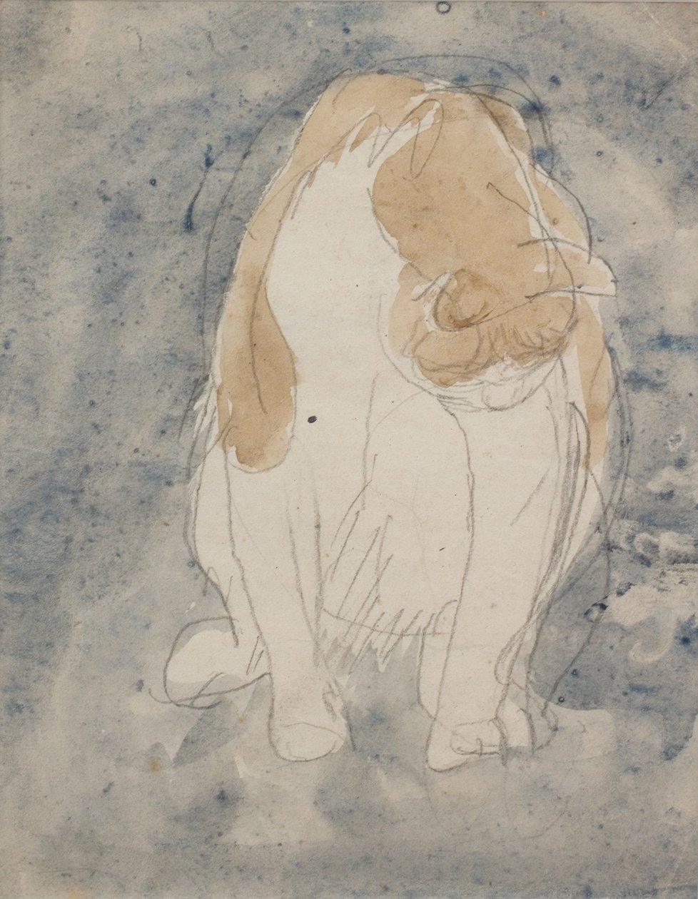 Studie af en kat, ca. 1910-20 (akvarel og grafitblyant på papir) af Gwen John