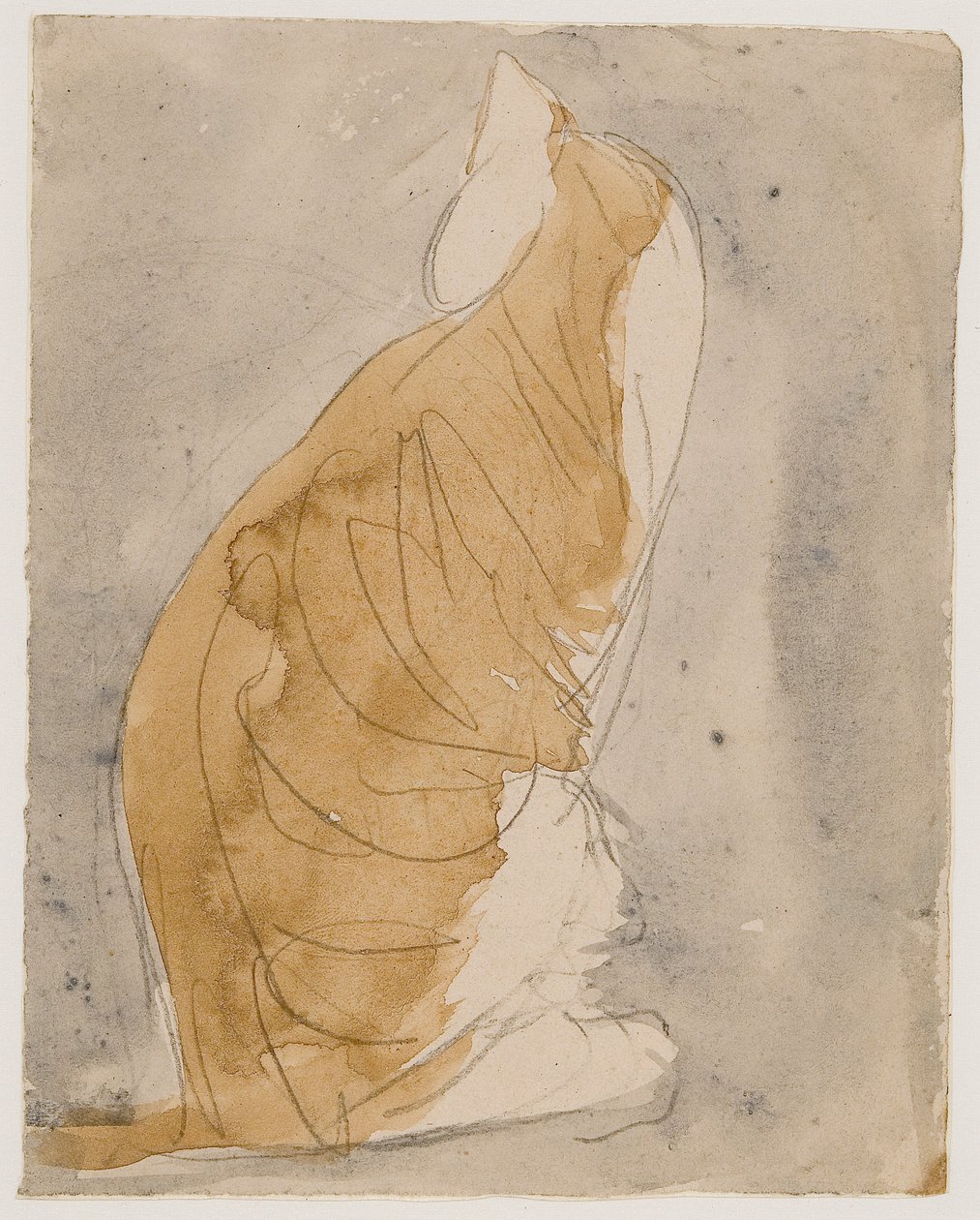 Studie af en kat (akvarel og blyant på papir) af Gwen John
