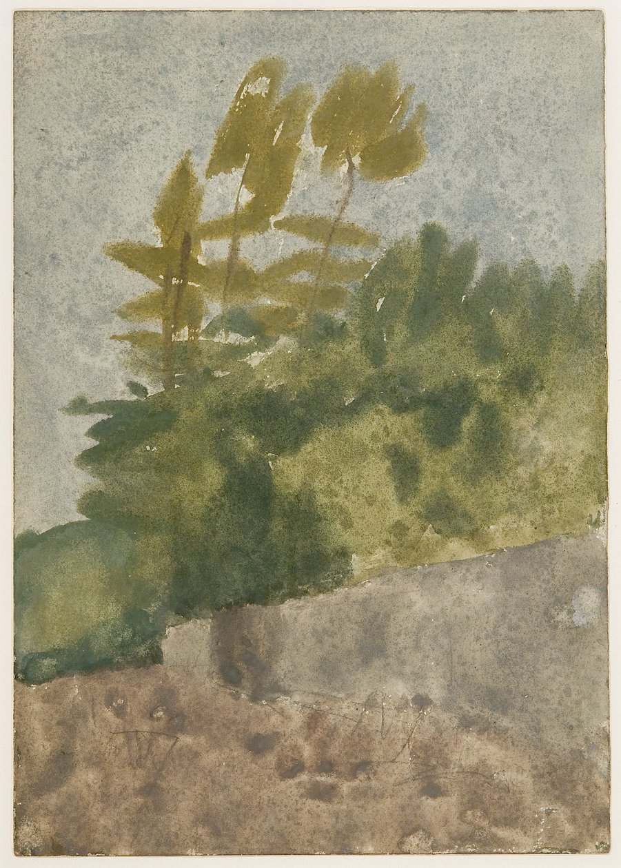 Træer (akvarel, gouache og blyant på papir) af Gwen John