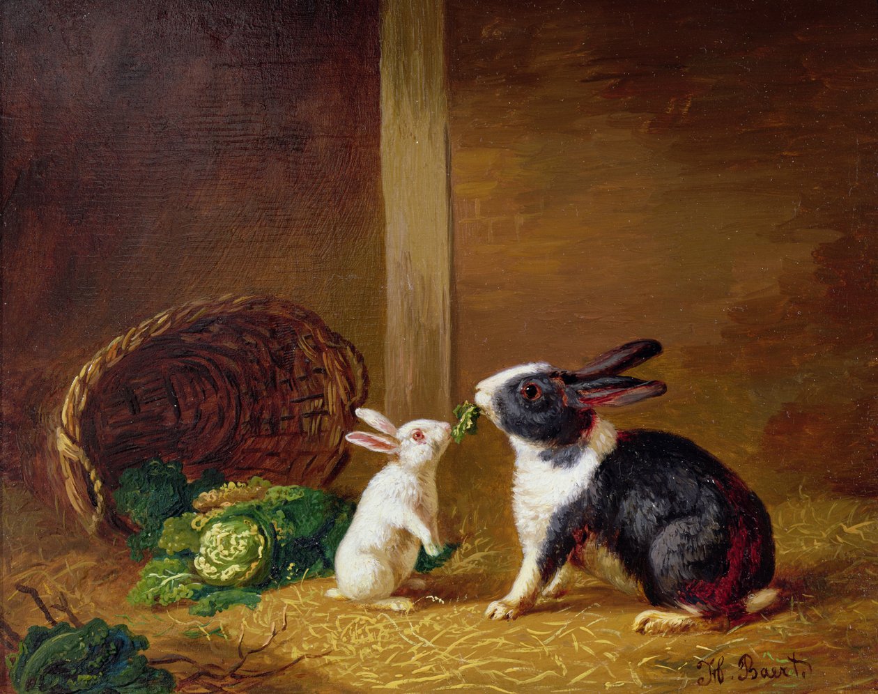 To kaniner af H. Baert