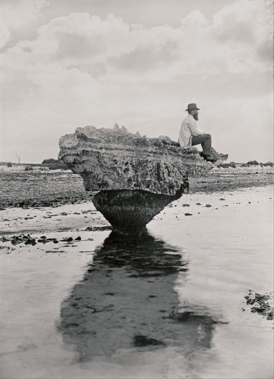 Corset Rock af H. H. Tilbrook