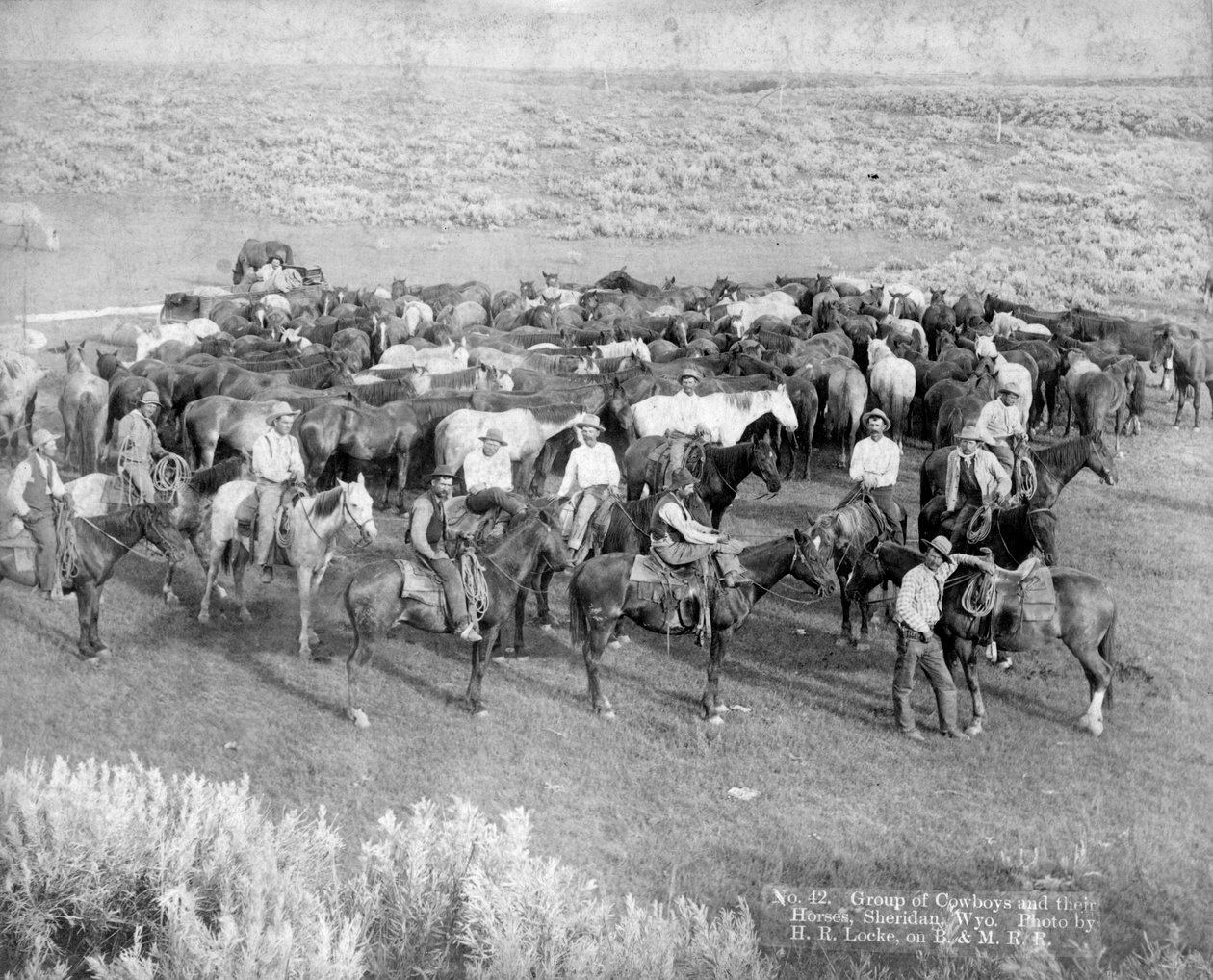 Gruppe af cowboys og deres heste, Sheridan, Wyoming, ca. 1890 af H. R. Locke
