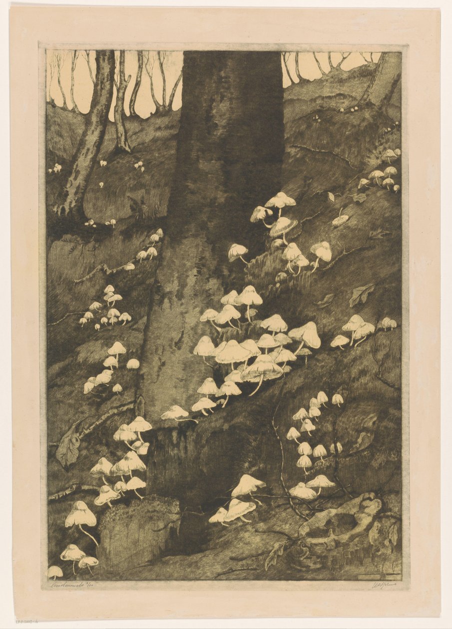 Svampe i en skov Efterår (original titel) af H.C. Spruit (signed by artist)