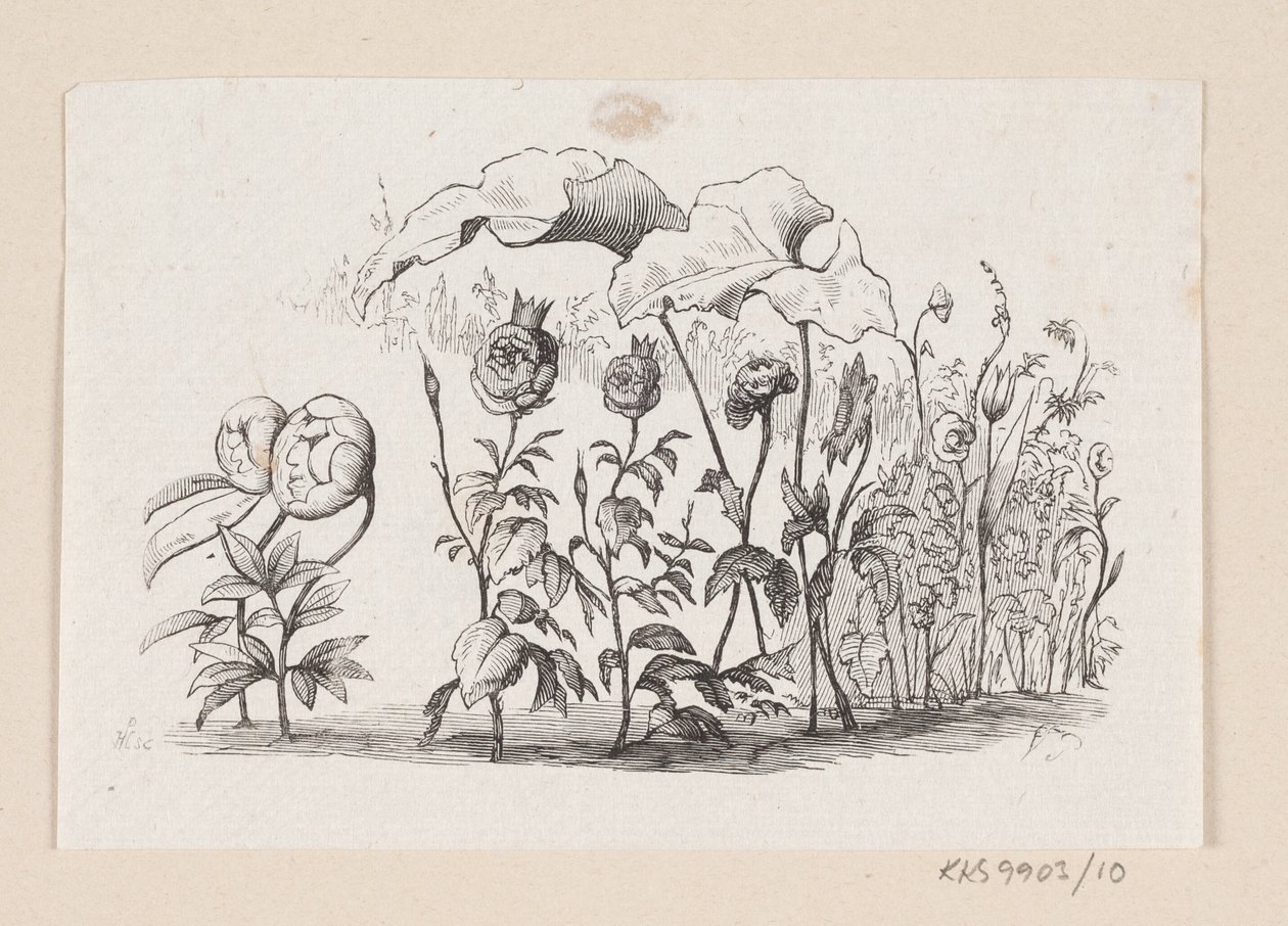 Illustration til "Den lille Idas Blomster" i H.C. Andersen, "Eventyr og Historier", Bind 1 af H.P. Hansen