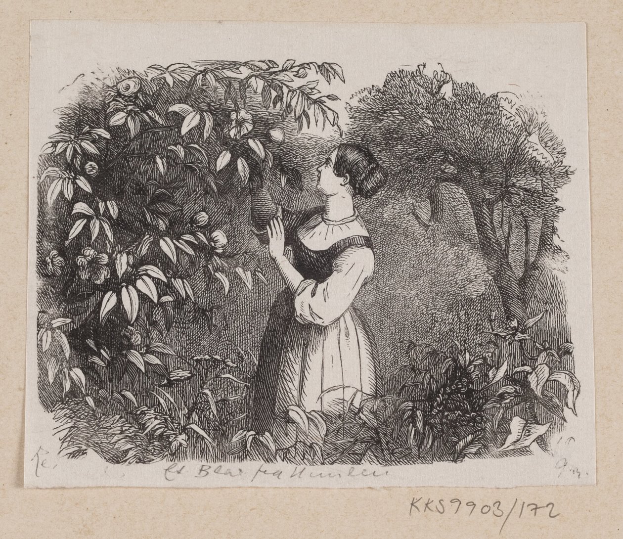 Illustration til "Et Blad fra Himlen" i H.C. Andersen, "Eventyr og Historier", Bind 2 af H.P. Hansen