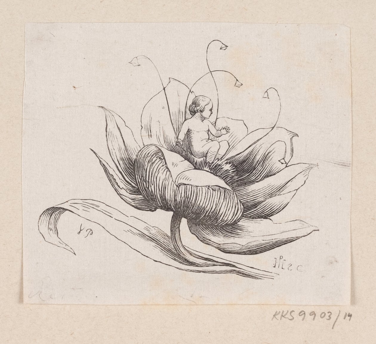 Illustration til "Tommelise" i H.C. Andersen, "Eventyr og Historier", Bind 1 af H.P. Hansen