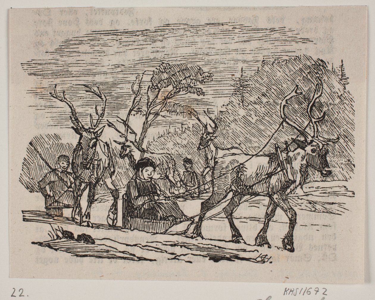 Slædekørsel med rensdyr af H. C. Henneberg