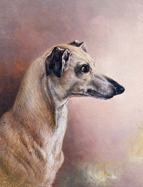 Hoved af en Greyhound (panel) af H. Morley Park