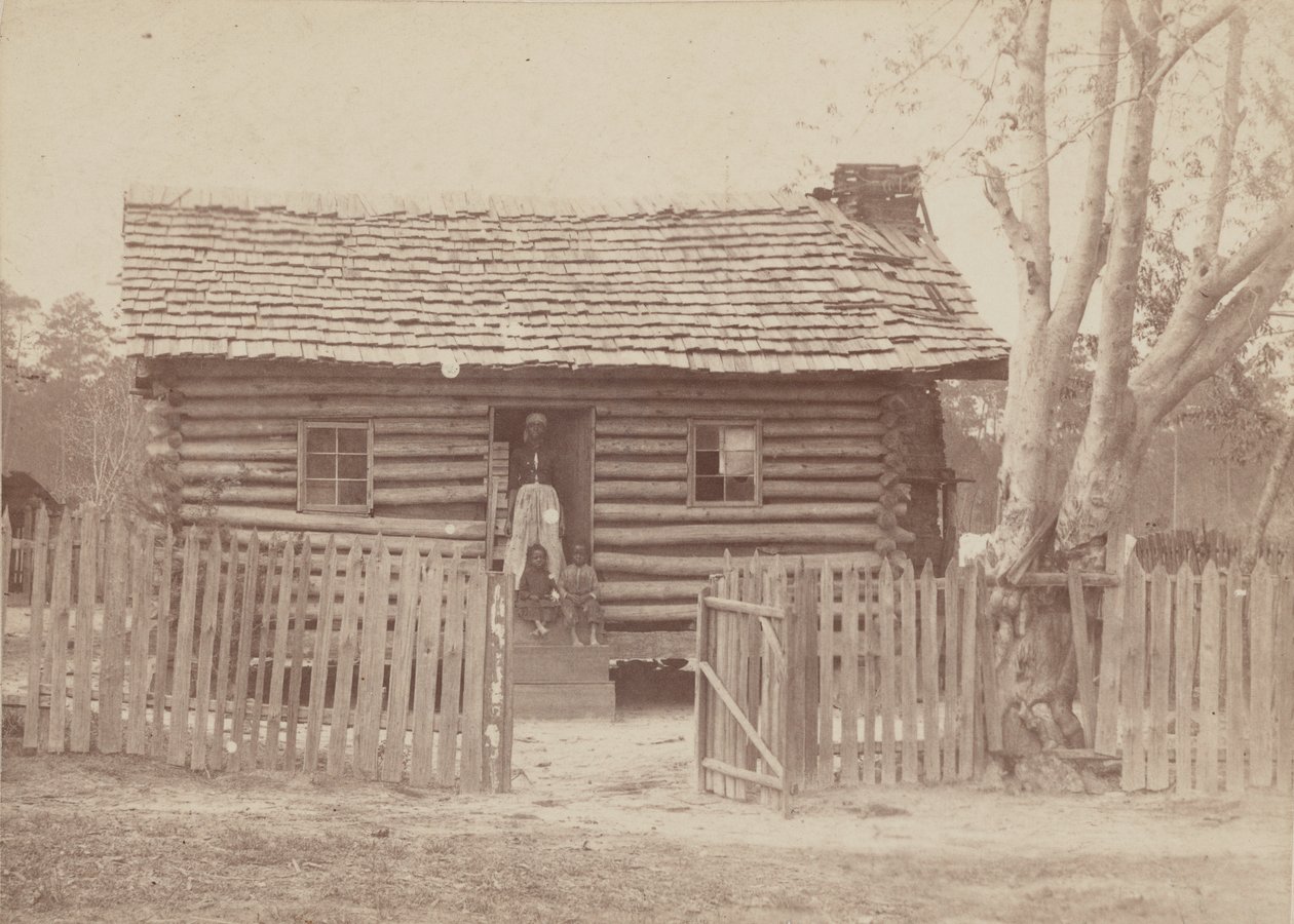 Albuminprint af en kvinde og to børn foran et bjælkehus i Georgia, 1880