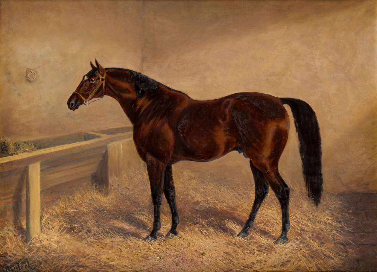Wenlock: A Bay Racehorse, i en løs æske, ca. 1881-1903 (olie på lærred) af H. Whittaker Reville