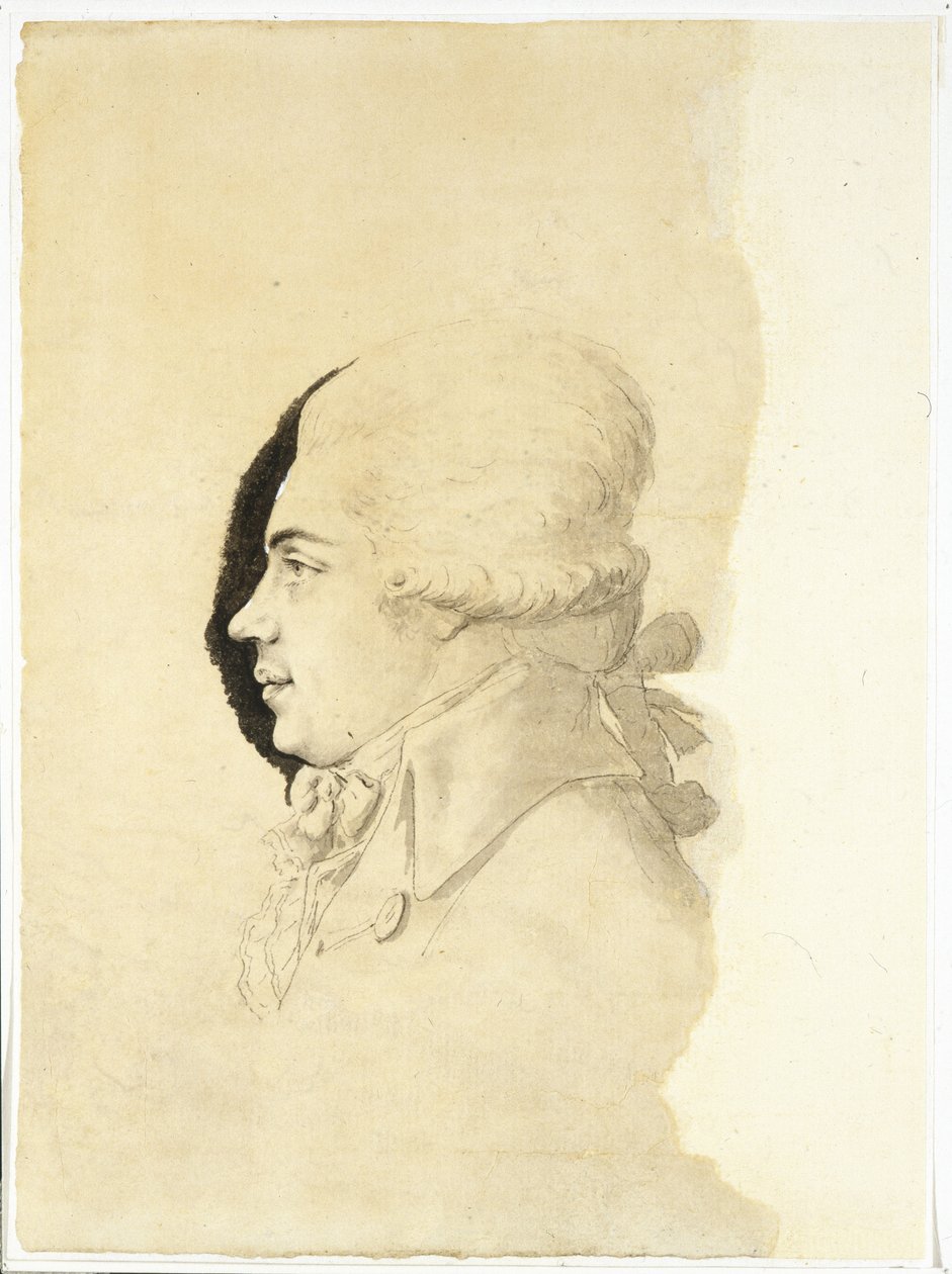 Portræt af grev Nikolai Petrovich Rumyantsev 1754-1826, slutningen af ​​1780