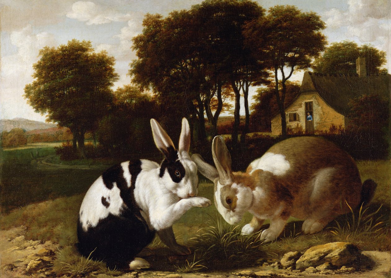 To kaniner i et landskab, ca. 1650 af Haarlem School