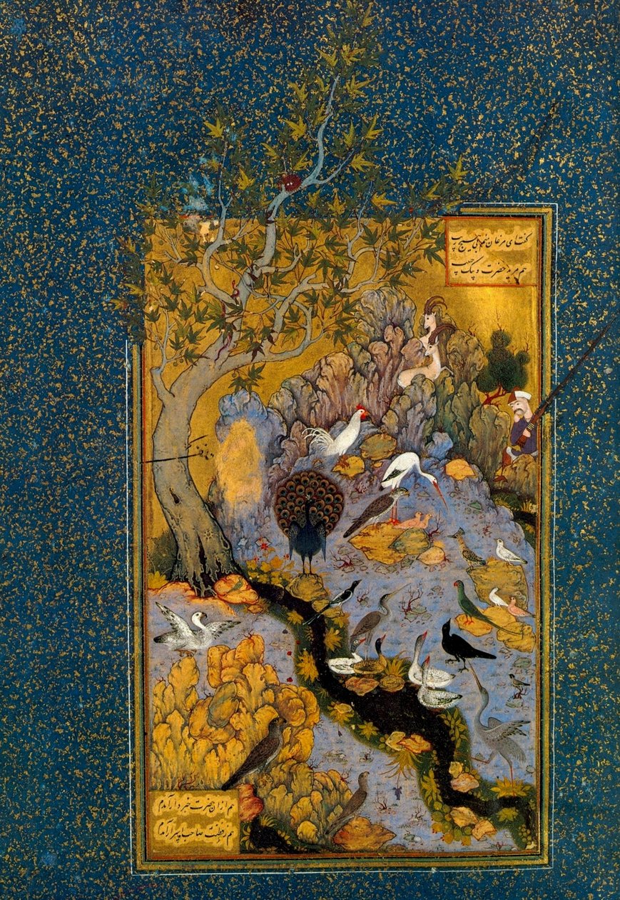 Folio fra Mantiq al-Tayr Fuglenes sprog, af Attar, c1600. af Habib Allah