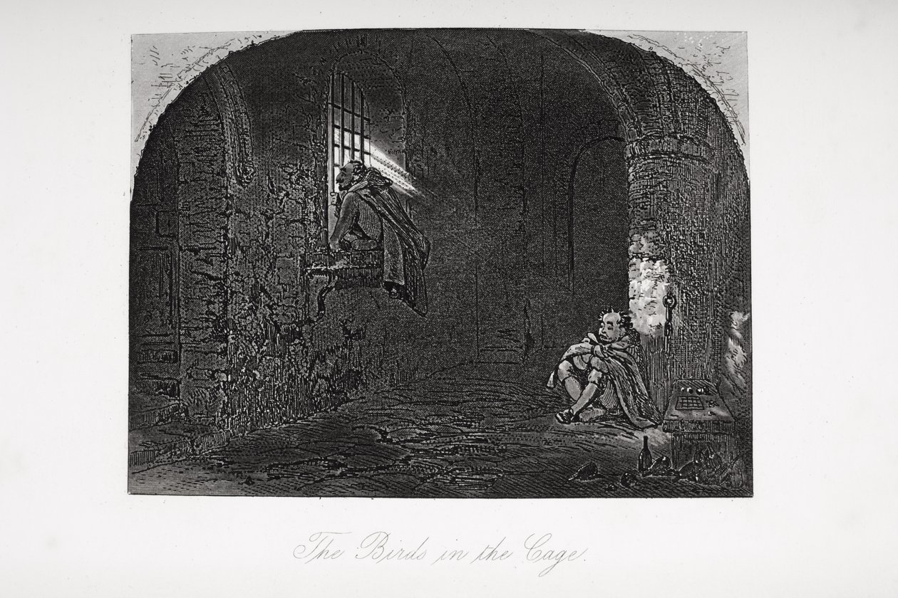 Fuglene i buret, illustration fra 