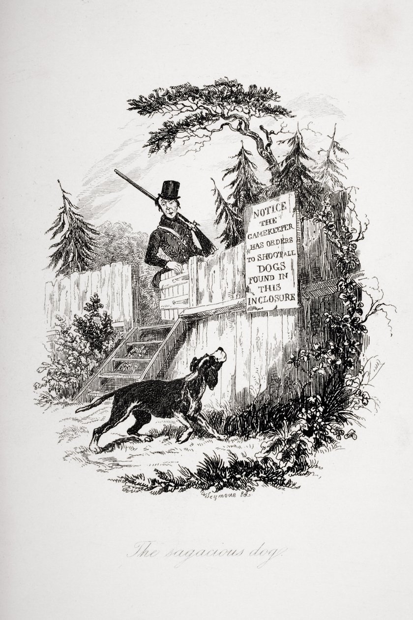 The sagacious dog, illustration fra 