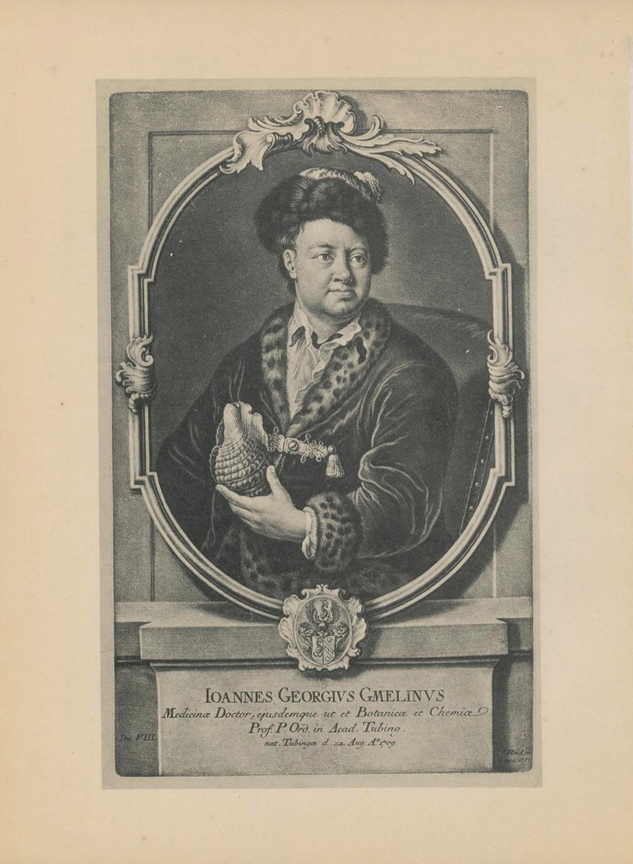 Portræt af naturforskeren, botanikeren og geografen Johann Georg Gmelin 1709-1755, midten af det 18. årh. af Haid