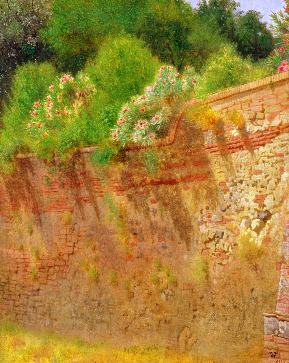 Mur af Robert Brownings Villa, 1866 af Hamilton Gibbs Wilde