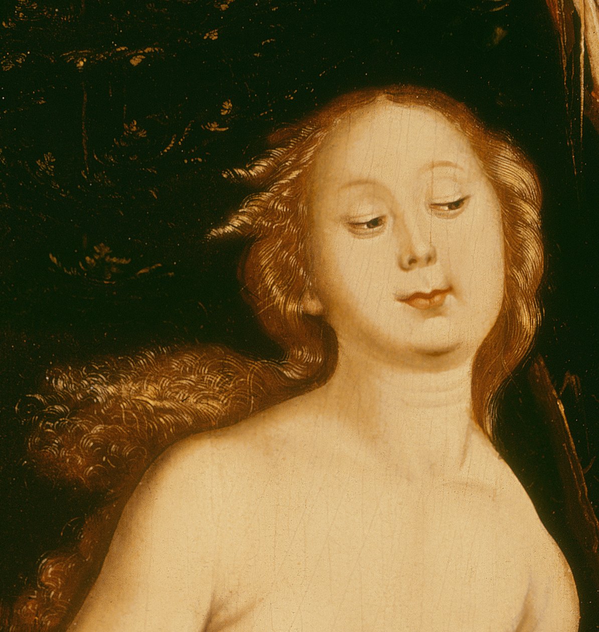 Detalje fra Eva, slangen og døden olie på paneldetalje af 35456 af Hans Baldung Grien