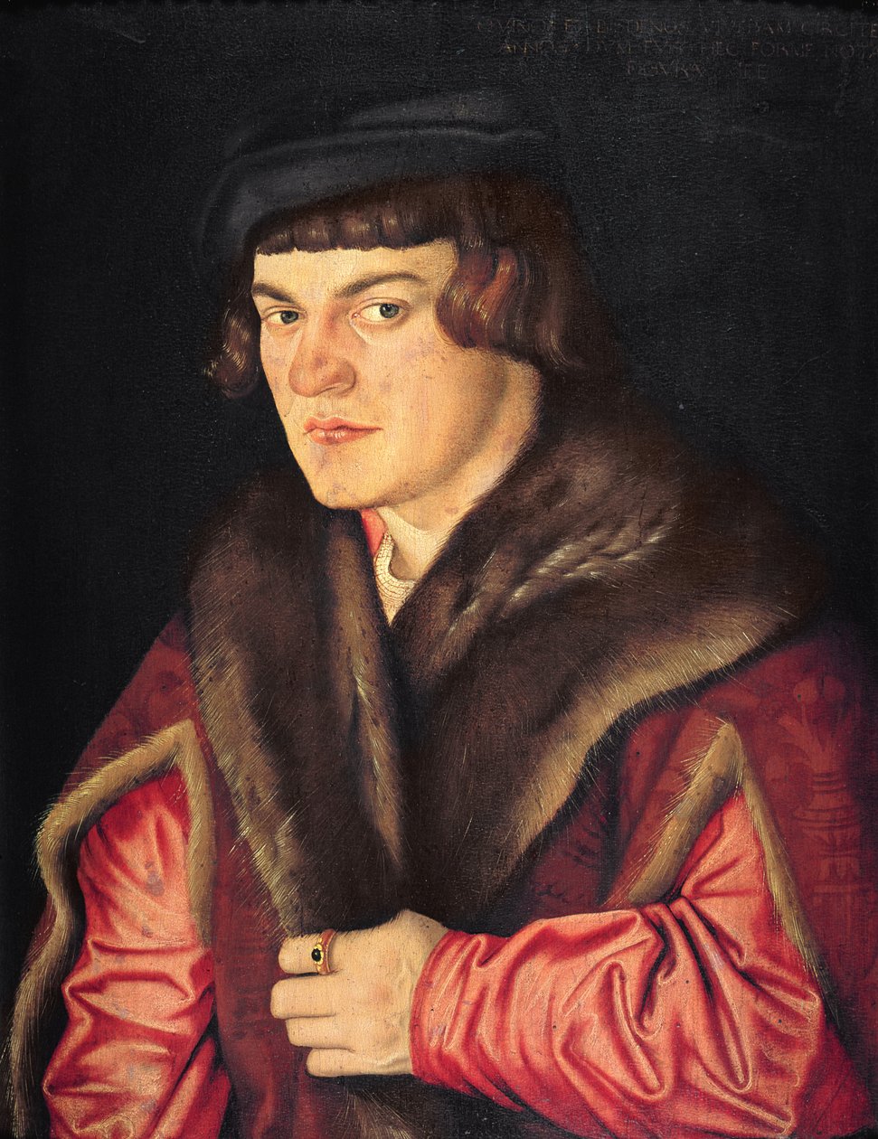 Portræt af en mand af Hans Baldung Grien