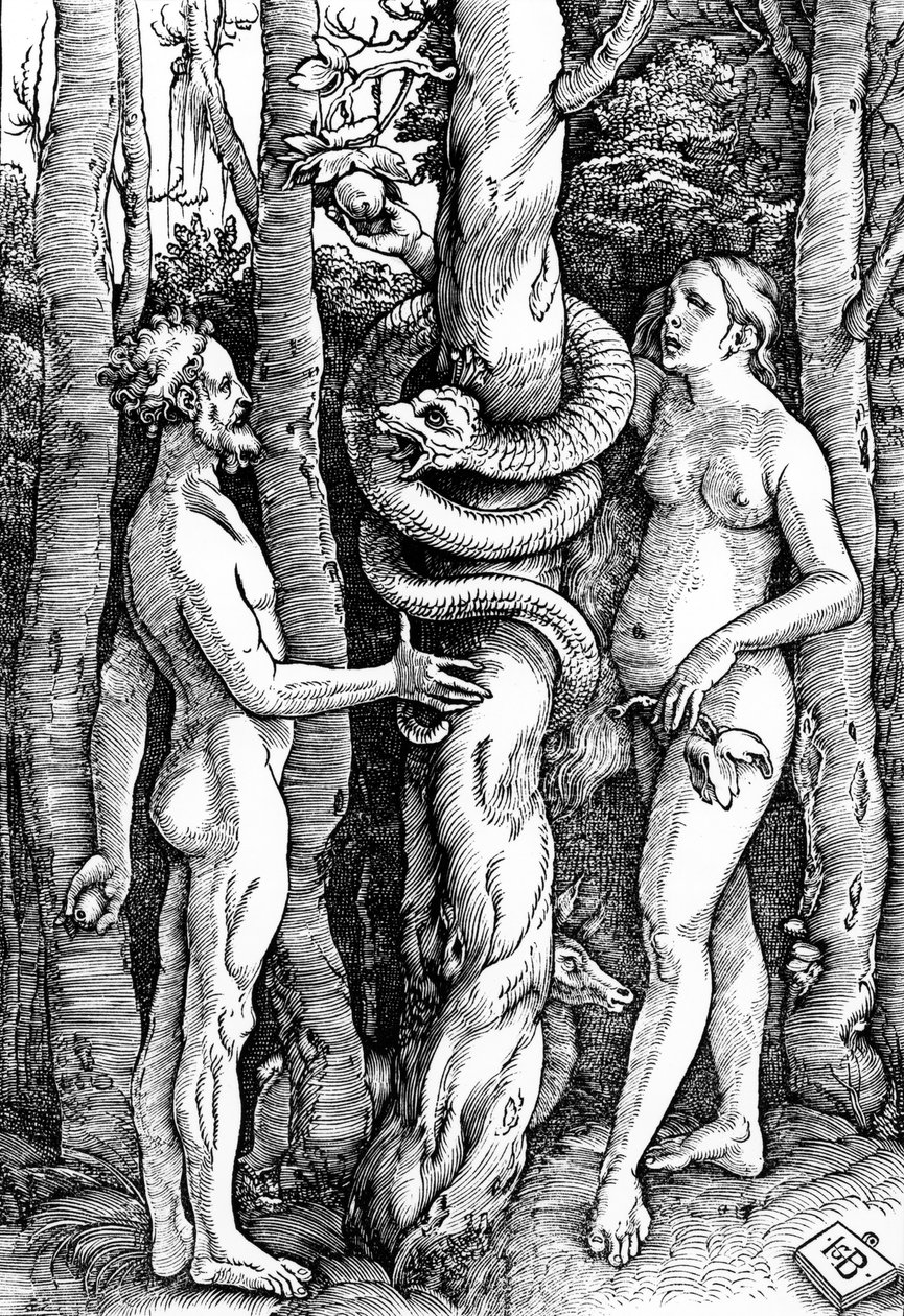 Menneskets fald, ca. 1514 af Hans Baldung Grien
