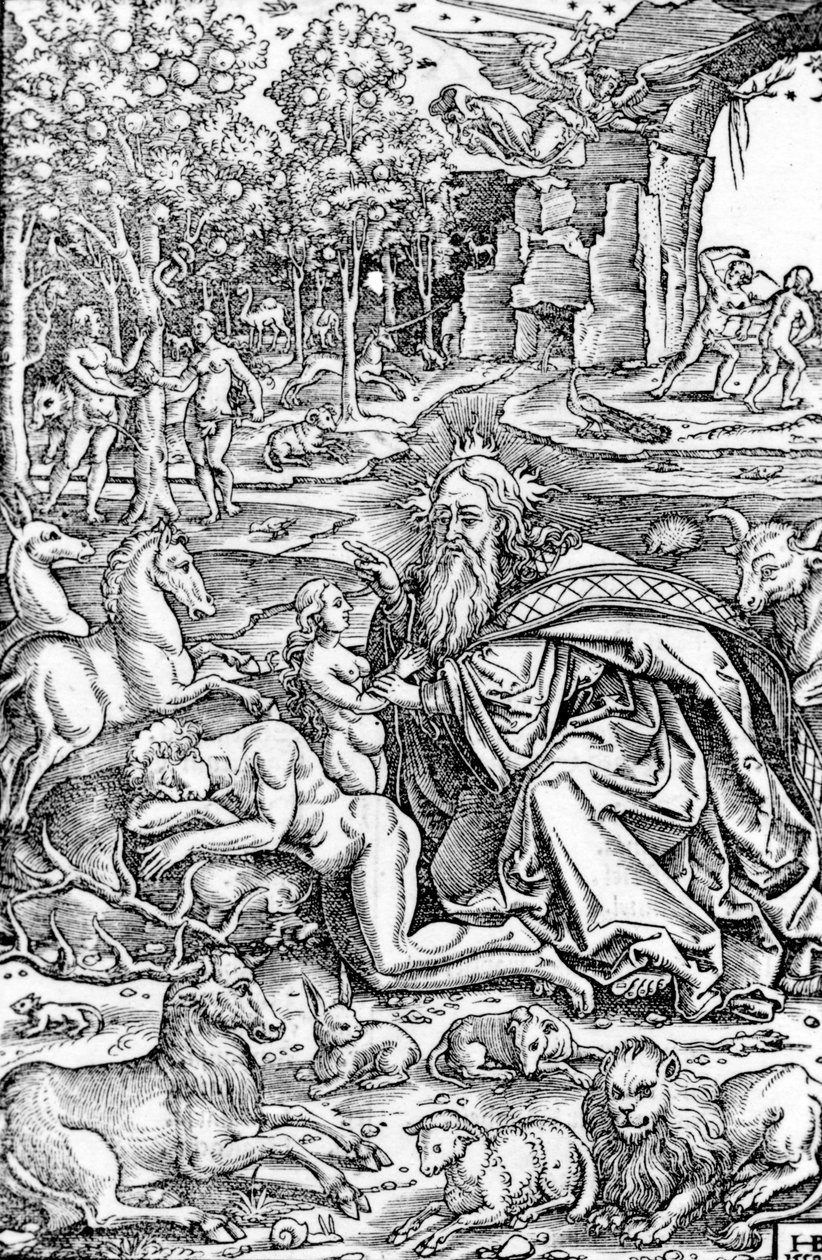 Evas skabelse, fra Lutherbibelen, 1550 af Hans Brosamer