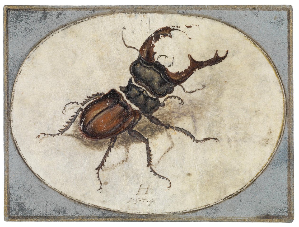 Hjortebille (efter Albrecht Dürer) af Hans Hoffmann