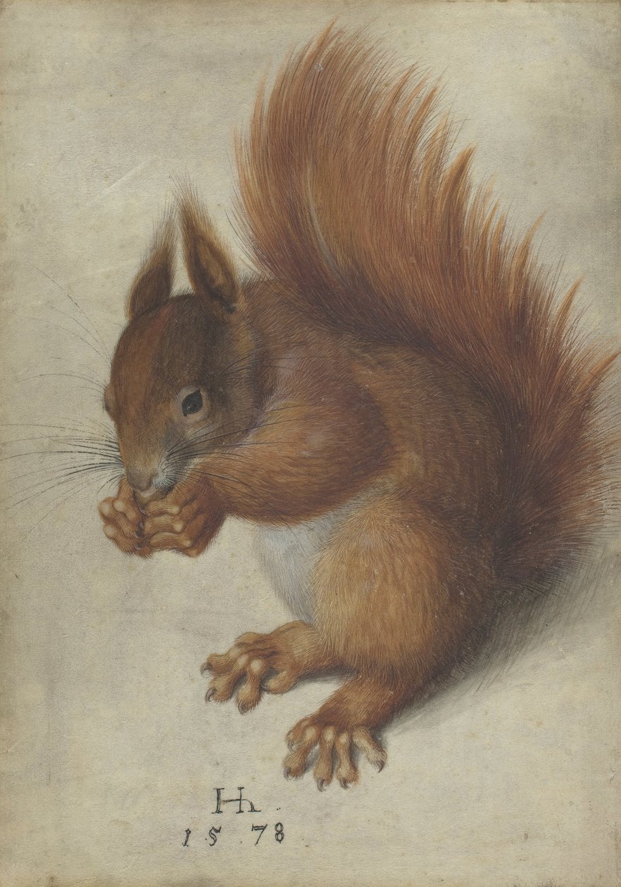 Rød egern af Hans Hoffmann