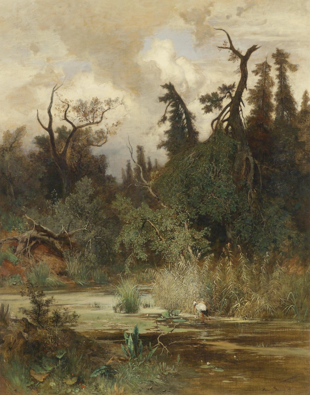 Sommer i alluvialskov af Hans Schühly