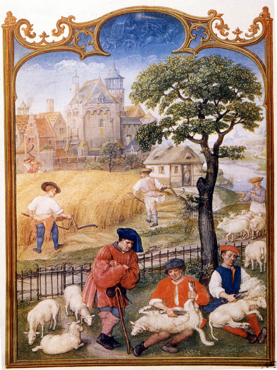 Markarbejde, klippe får og bønder slår hvede. Miniaturebillede tildelt til Memling. Tallerken tegnet fra Breviaire Grimani fra det 15. århundrede. Biblioteca Marciana, venise. af Hans (attr.to) Memling