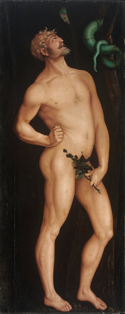 Adam af Hans Baldung Grien