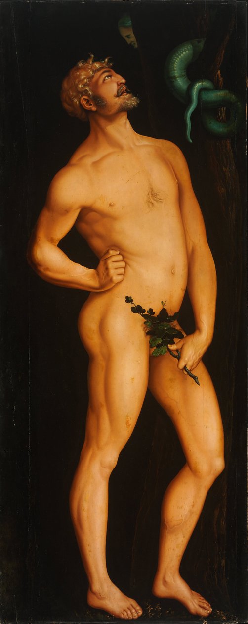 Adam - Peinture de Hans Baldung (1484-1545) - 1525-1526 - Olie på træ - 208,5x83,5 - Szepmuveszeti Muzeum, Budapest af Hans Baldung Grien
