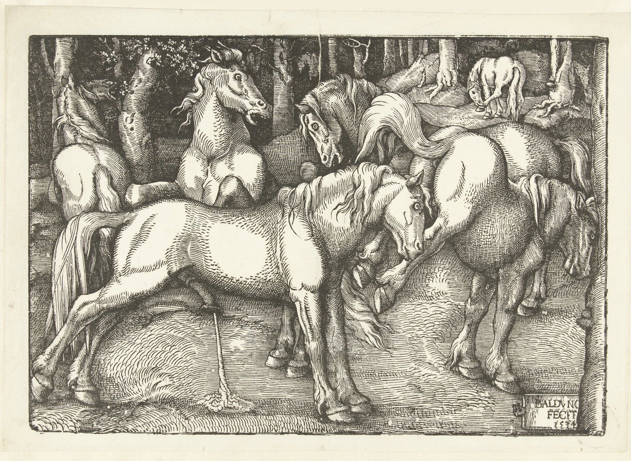 Gruppe på seks kampheste af Hans Baldung Grien