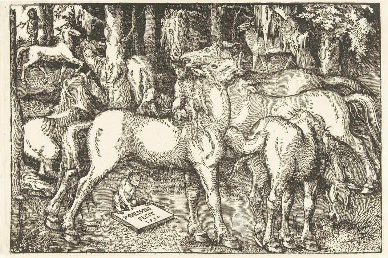 Gruppe på syv heste og en abe af Hans Baldung Grien