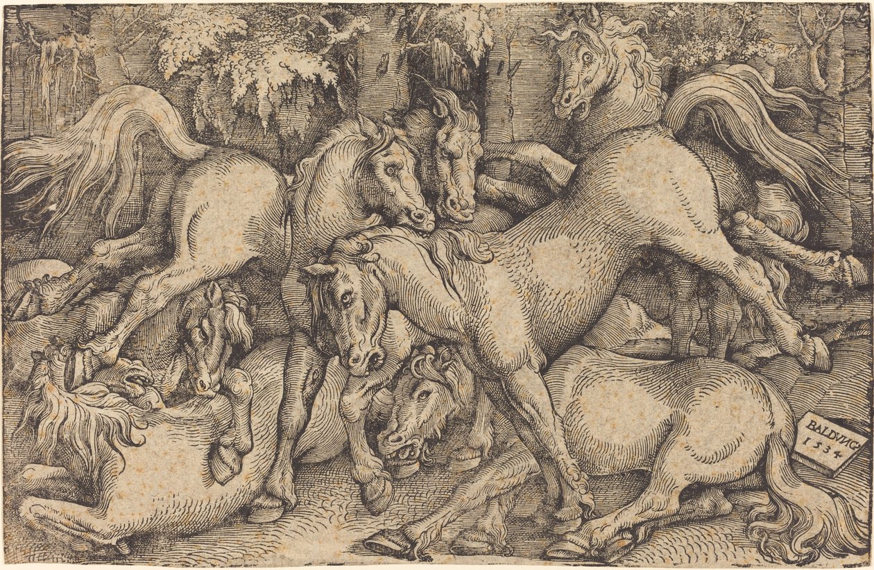 Gruppe på syv heste i skoven af Hans Baldung Grien