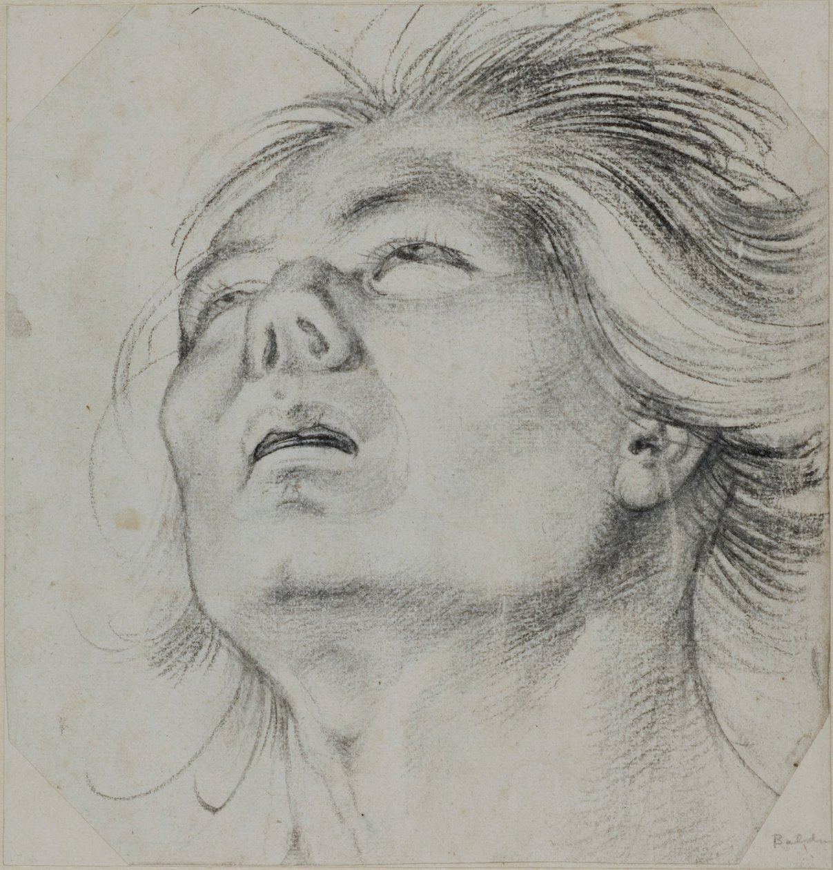 Hoved af en ung mand, set nedefra af Hans Baldung Grien