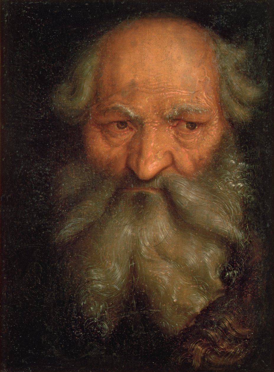 Hoved af en gammel mand af Hans Baldung Grien